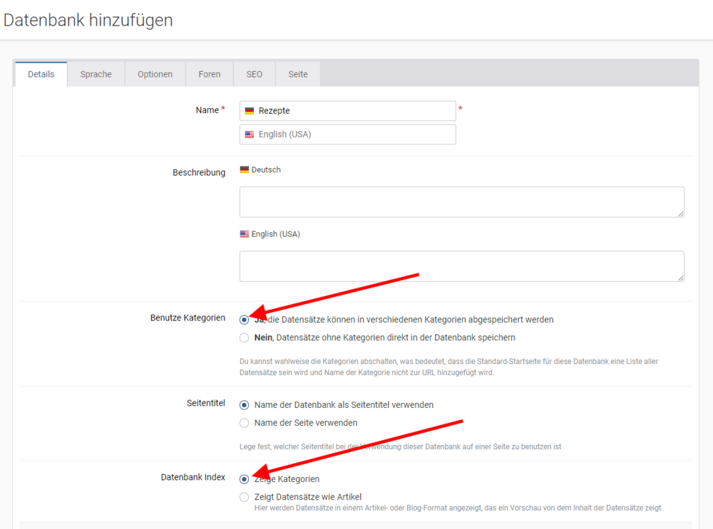 Datenbank - Registerkarte Details